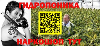 стаф Нарткала
