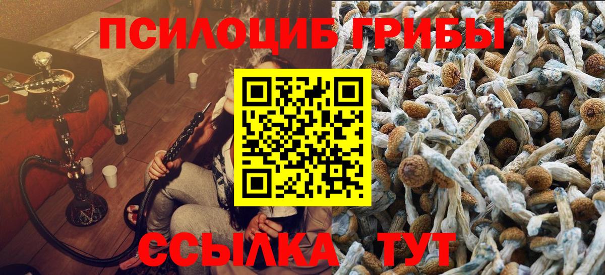 Псилоцибиновые грибы Psilocybine cubensis  Вход с VPN  Туапсе  даркнет сайт  Галлюциногенные грибы Psilocybe 