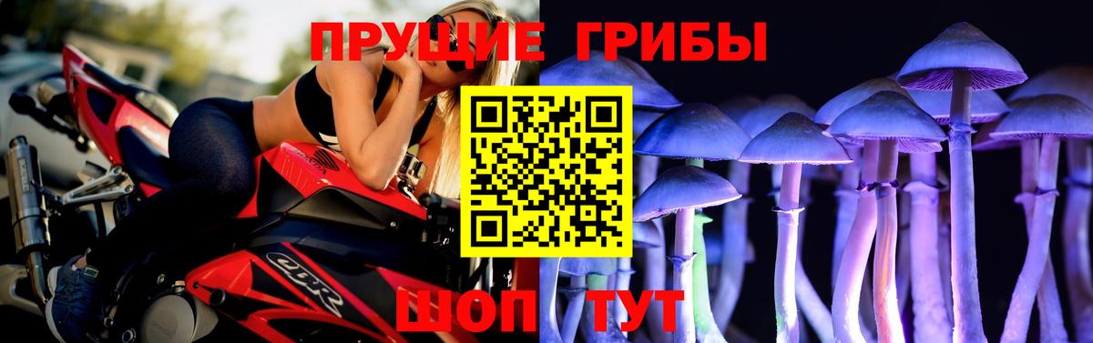 Галлюциногенные грибы прущие грибы Туапсе